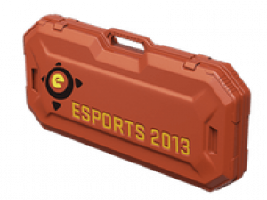 ESports 2013